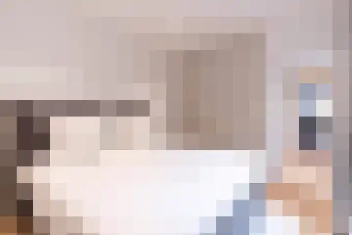 Rijklof van Goensstraat 22 Den Haag thumbnail 27