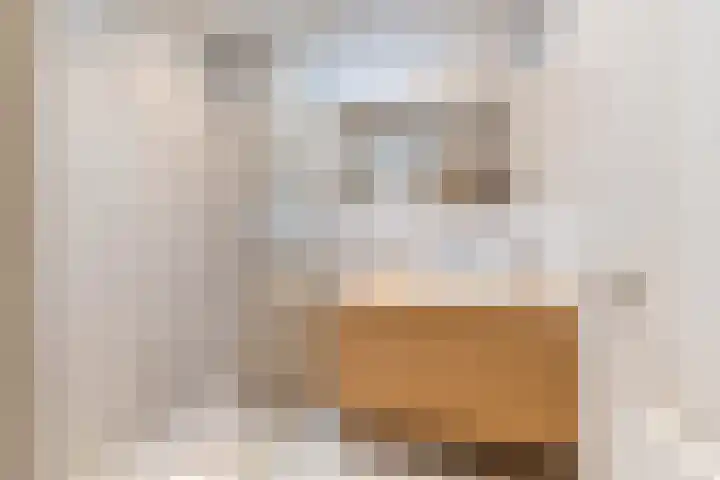 Rijklof van Goensstraat 22 Den Haag thumbnail 28