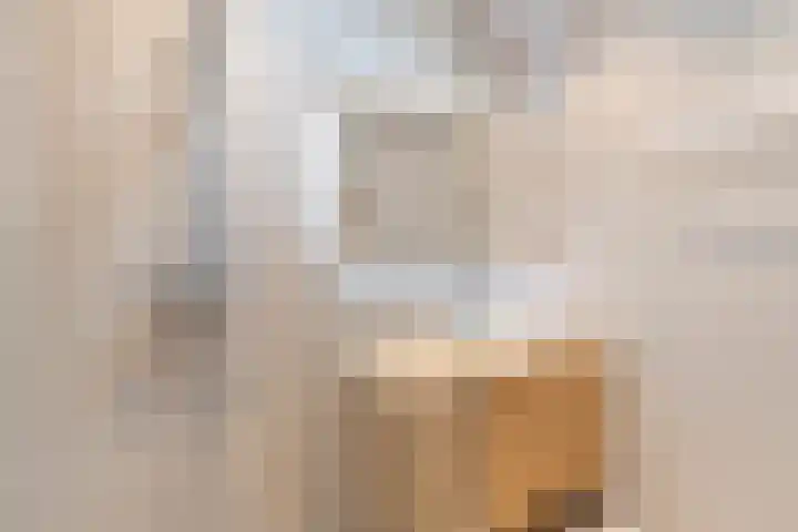 Rijklof van Goensstraat 22 Den Haag thumbnail 29