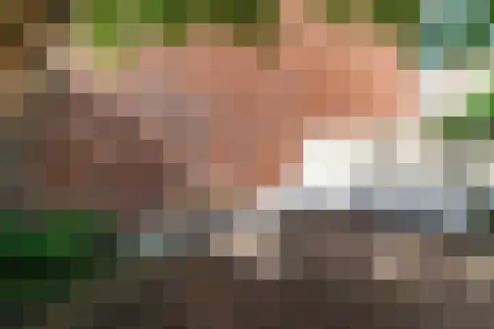 Rijklof van Goensstraat 22 Den Haag thumbnail 34