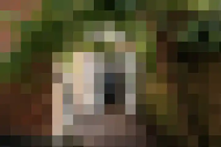 Rijklof van Goensstraat 22 Den Haag thumbnail 35