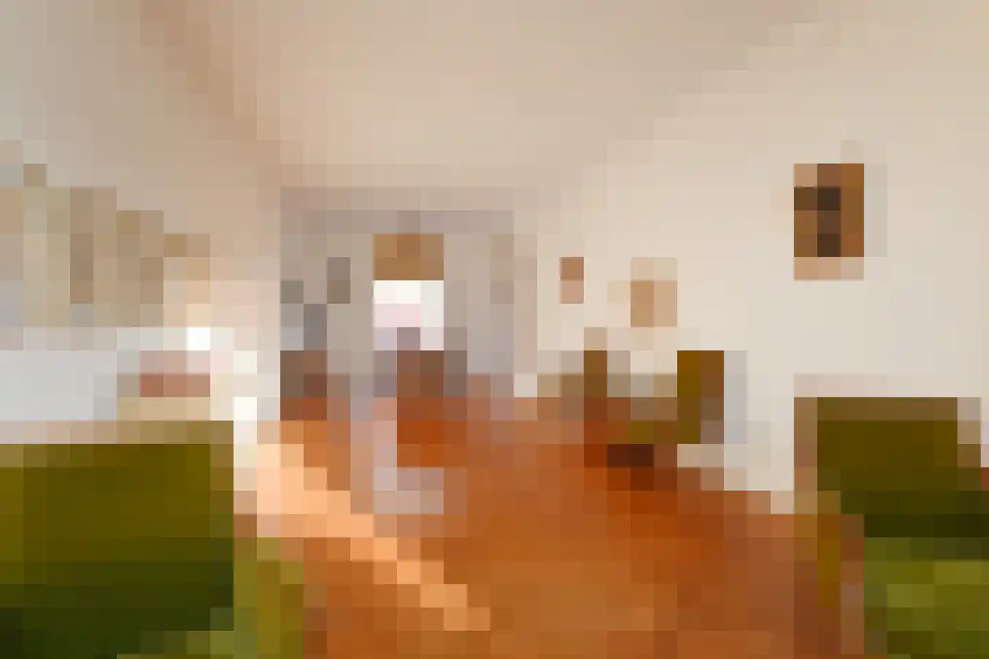 Rijklof van Goensstraat 26 A Den Haag thumbnail 15