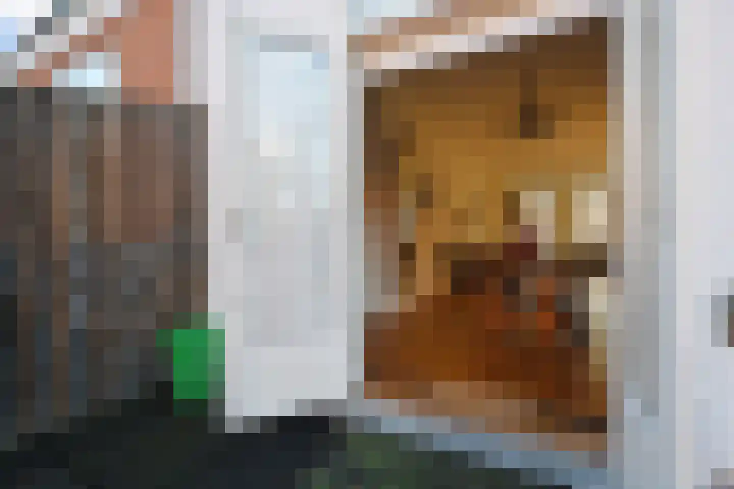 Rijklof van Goensstraat 26 A Den Haag thumbnail 18