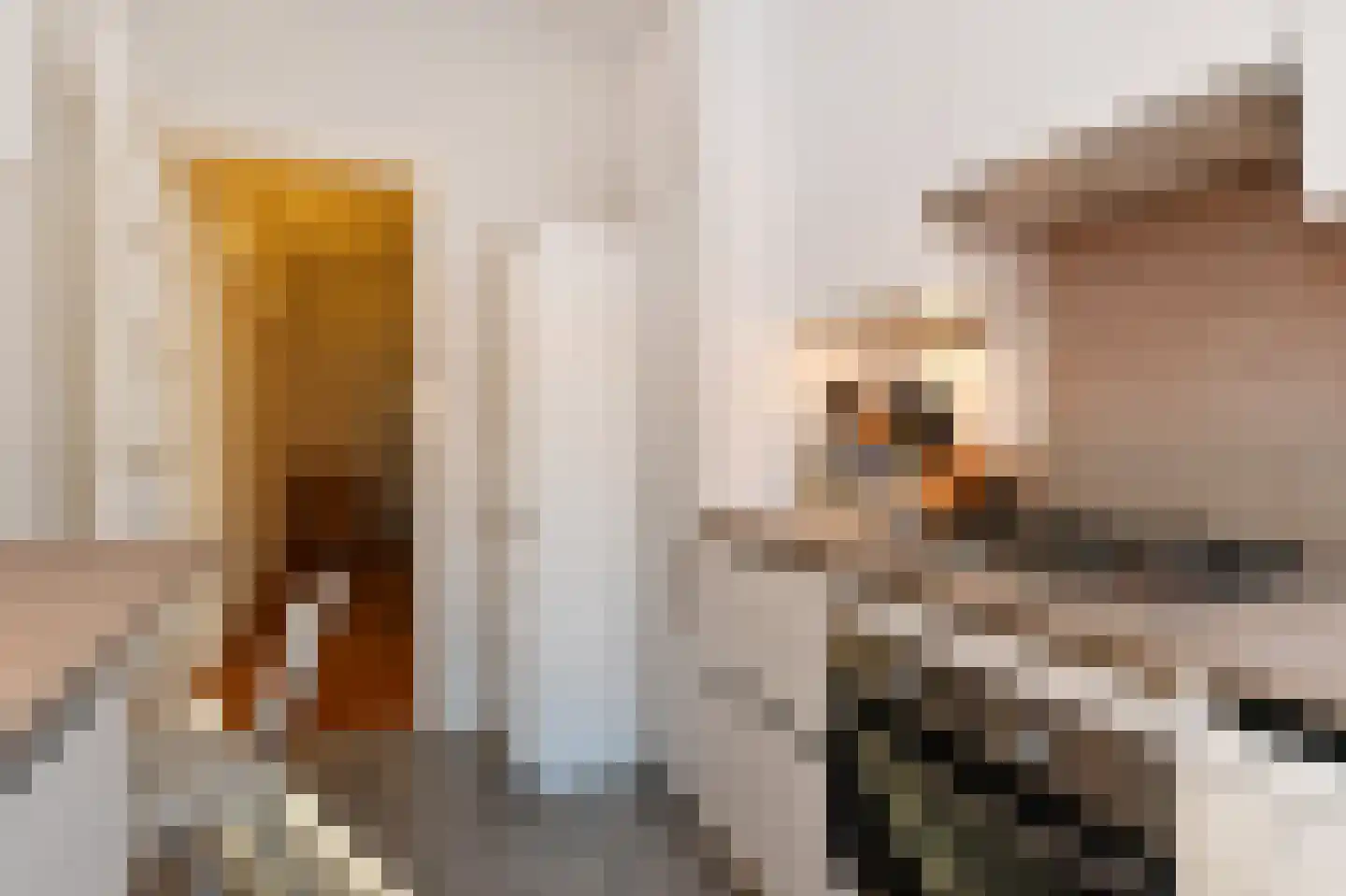Rijklof van Goensstraat 26 A Den Haag thumbnail 23