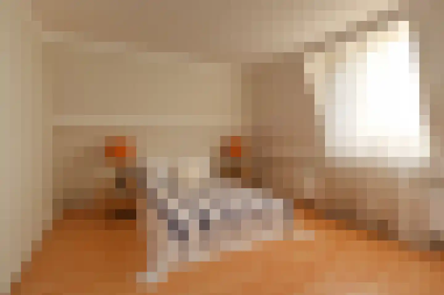 Rijklof van Goensstraat 26 A Den Haag thumbnail 27