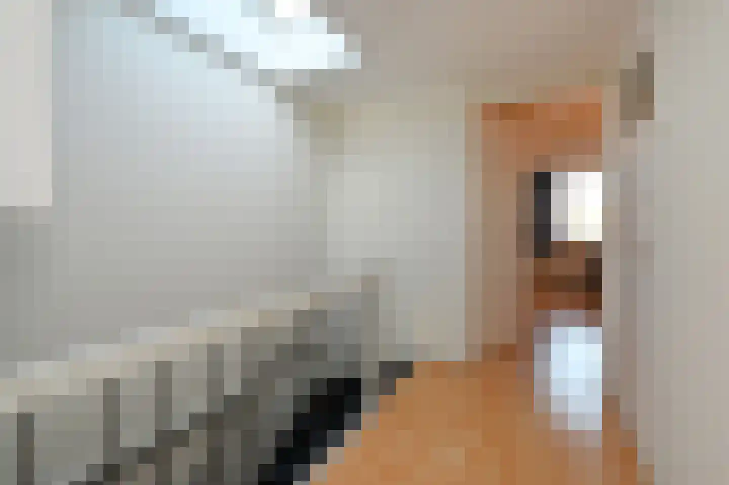 Rijklof van Goensstraat 26 A Den Haag thumbnail 30