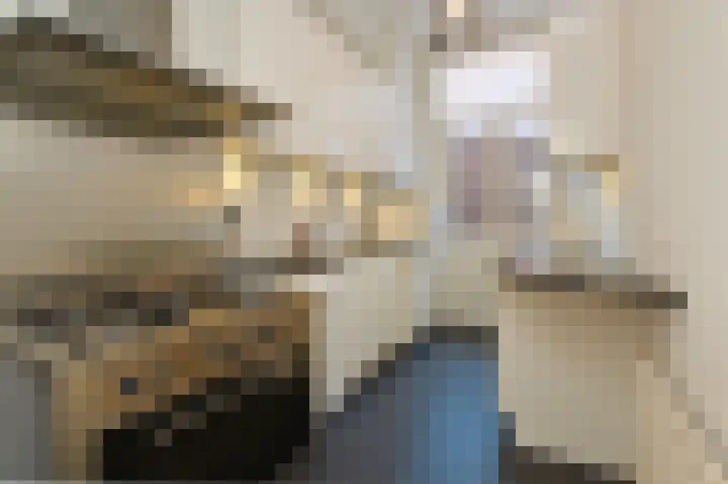 Rijklof van Goensstraat 26 Den Haag thumbnail 12