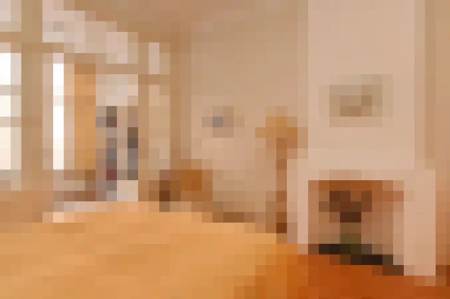 Rijklof van Goensstraat 26 Den Haag thumbnail 16