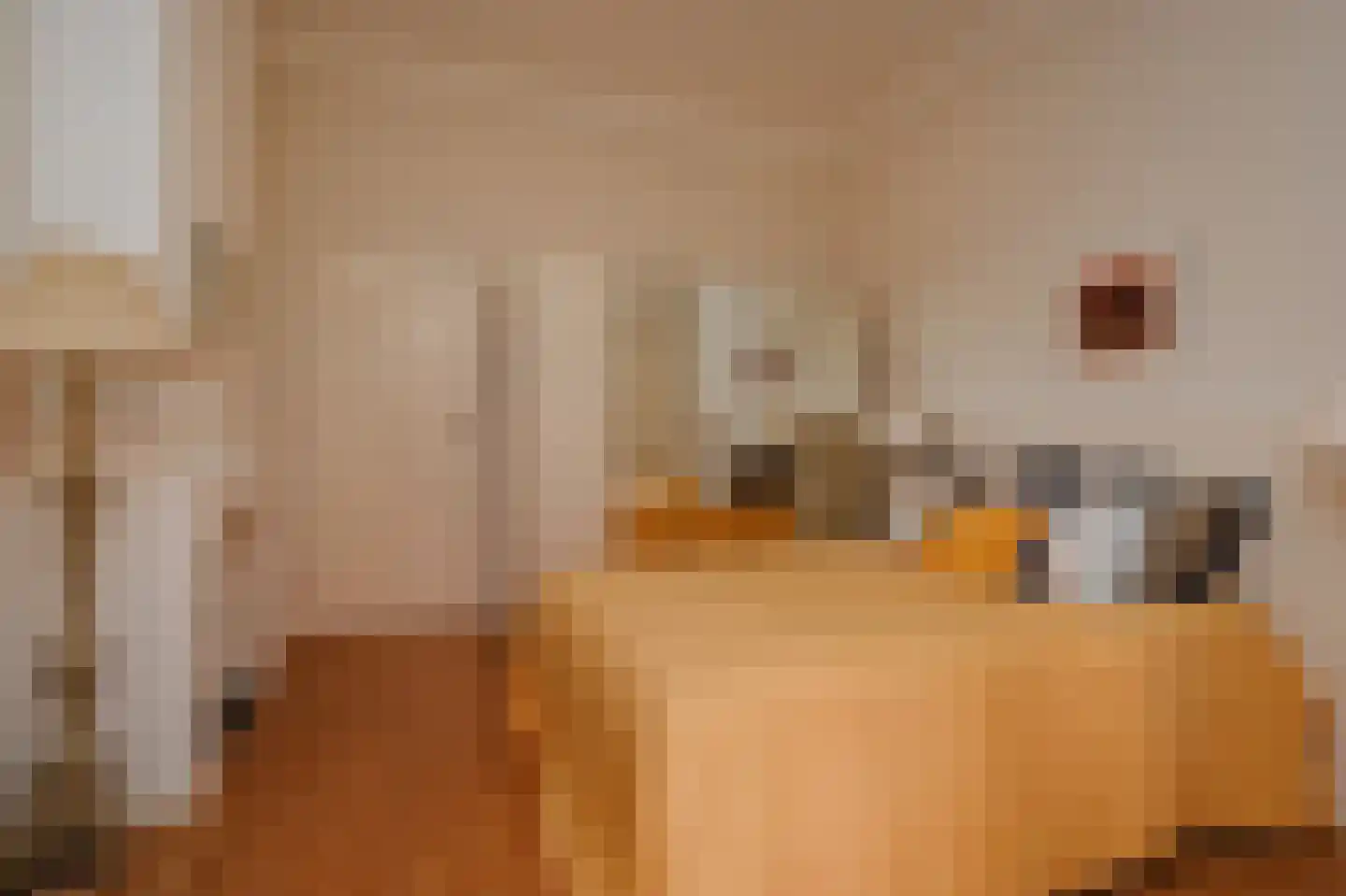 Rijklof van Goensstraat 26 Den Haag thumbnail 19