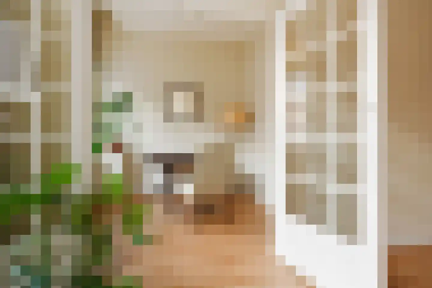 Rijklof van Goensstraat 26 Den Haag thumbnail 7