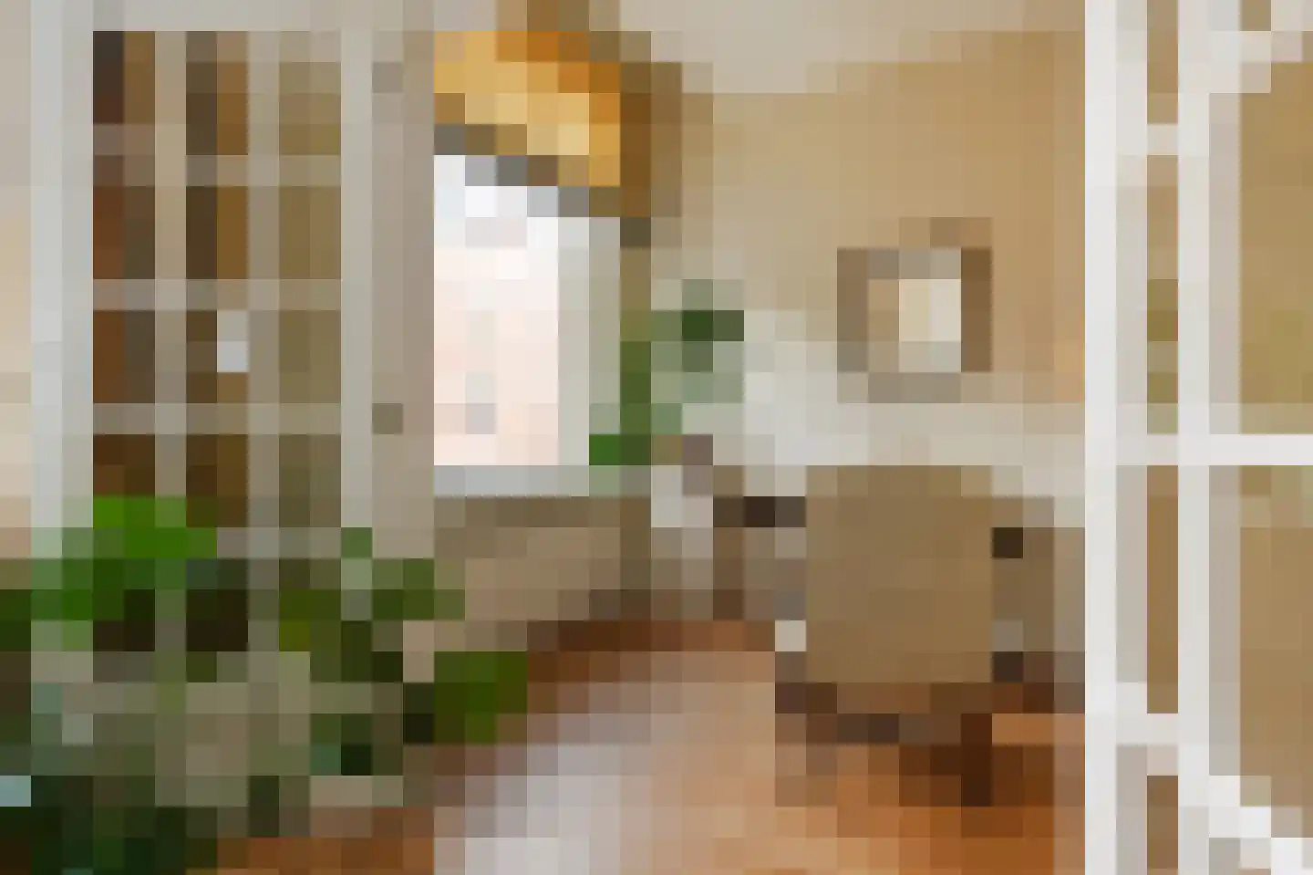 Rijklof van Goensstraat 26 Den Haag thumbnail 8