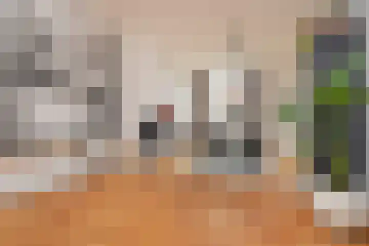 Rijklof van Goensstraat 33 A Den Haag thumbnail 12