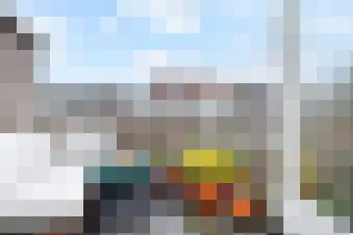 Rijklof van Goensstraat 33 A Den Haag thumbnail 15