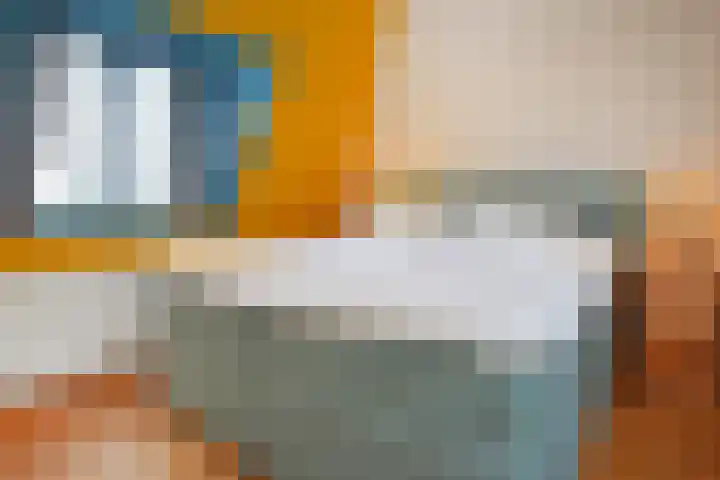 Rijklof van Goensstraat 33 A Den Haag thumbnail 25