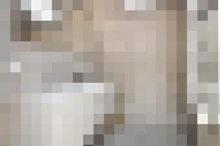 Rijklof van Goensstraat 33 A Den Haag thumbnail 27