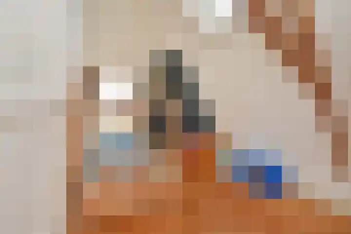 Rijklof van Goensstraat 33 A Den Haag thumbnail 32
