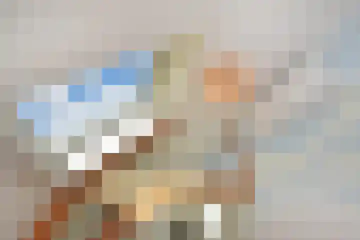 Rijklof van Goensstraat 33 A Den Haag thumbnail 34