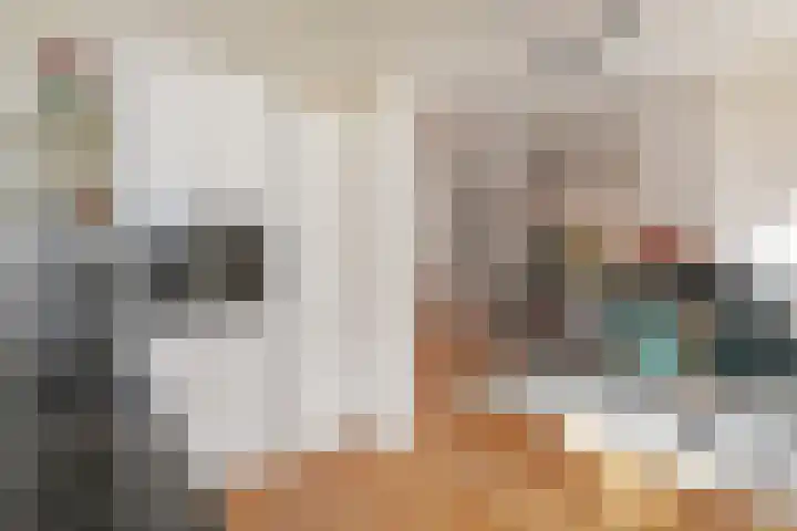 Rijklof van Goensstraat 33 A Den Haag thumbnail 4