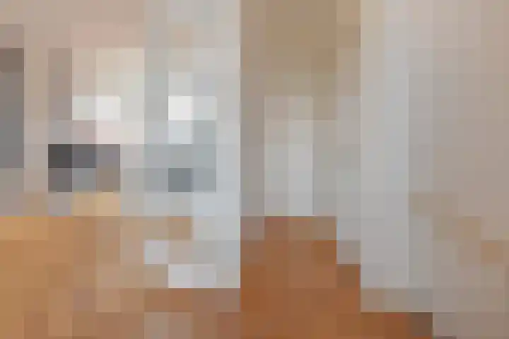 Rijklof van Goensstraat 33 A Den Haag thumbnail 8
