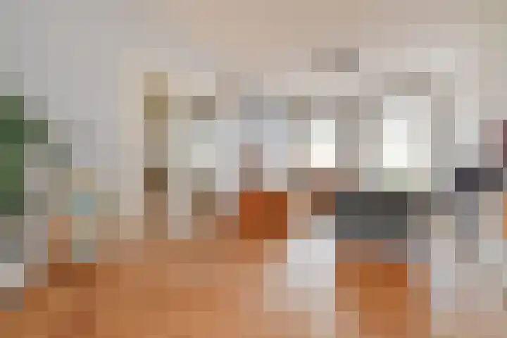Rijklof van Goensstraat 33 A Den Haag thumbnail 9
