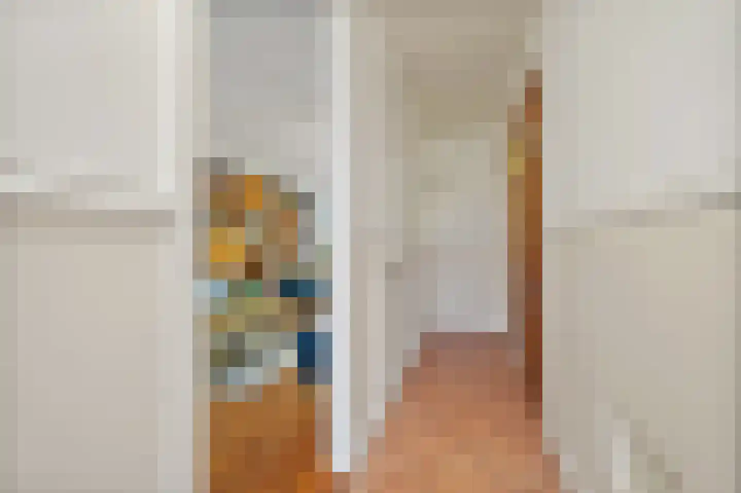 Rijklof van Goensstraat 43 Den Haag thumbnail 10