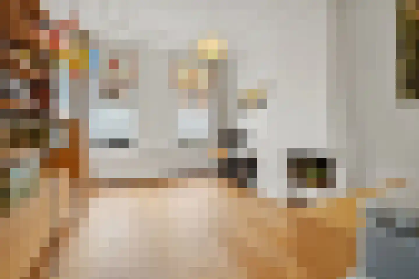 Rijklof van Goensstraat 43 Den Haag thumbnail 12