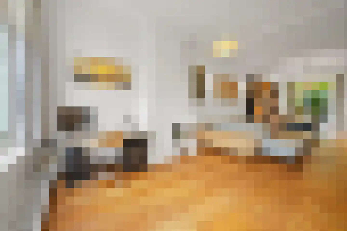 Rijklof van Goensstraat 43 Den Haag thumbnail 14