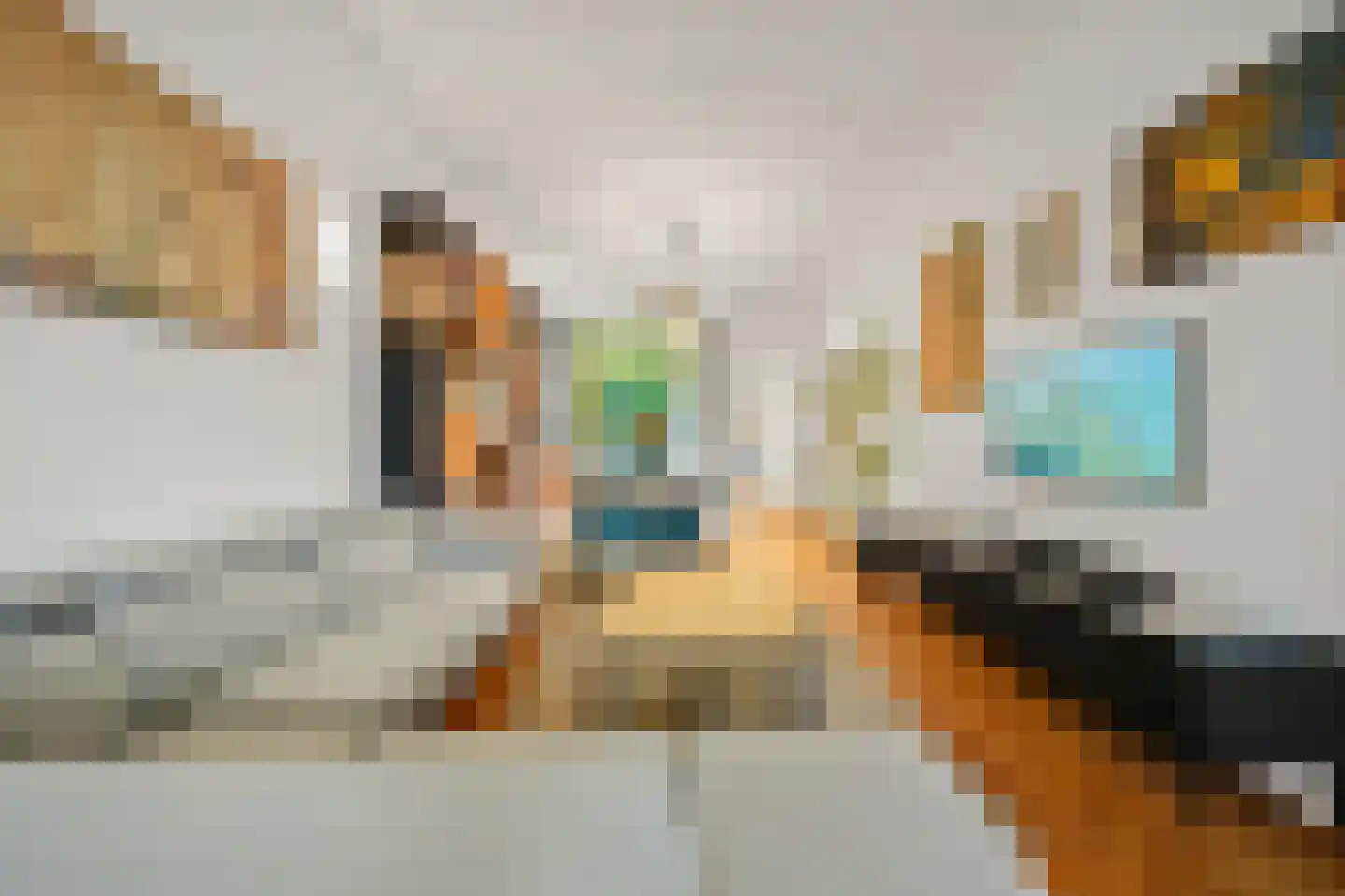 Rijklof van Goensstraat 43 Den Haag thumbnail 15