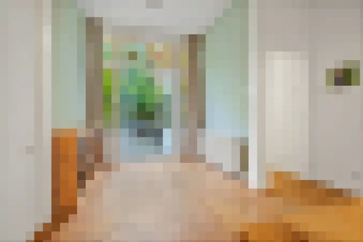 Rijklof van Goensstraat 43 Den Haag thumbnail 20