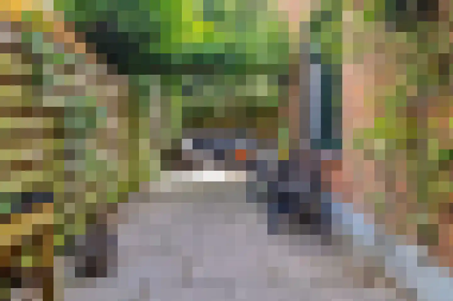 Rijklof van Goensstraat 43 Den Haag thumbnail 21