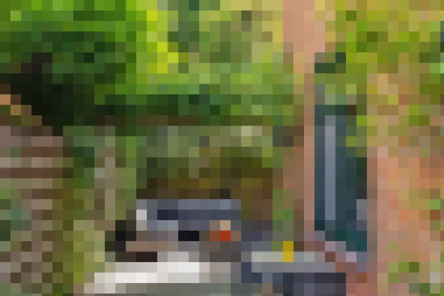 Rijklof van Goensstraat 43 Den Haag thumbnail 24