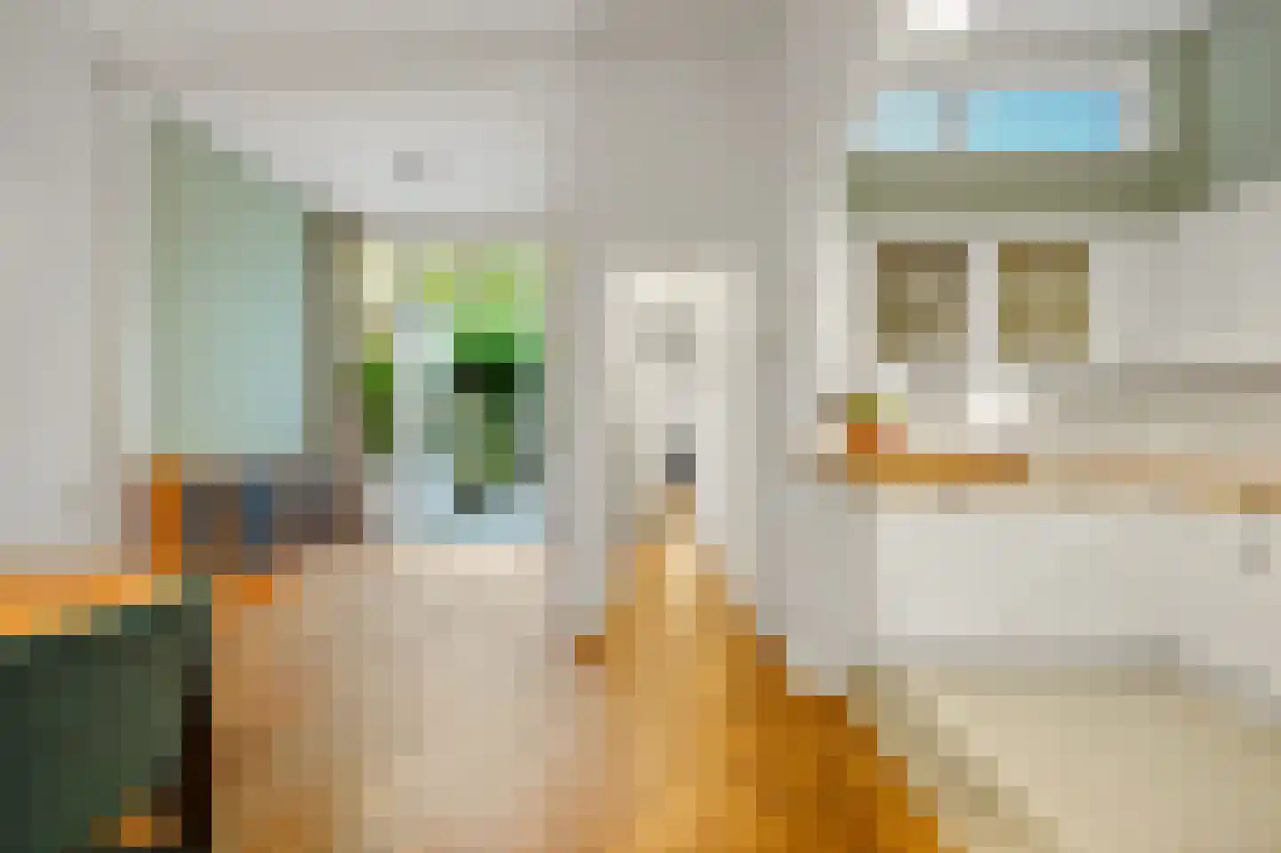 Rijklof van Goensstraat 43 Den Haag thumbnail 27