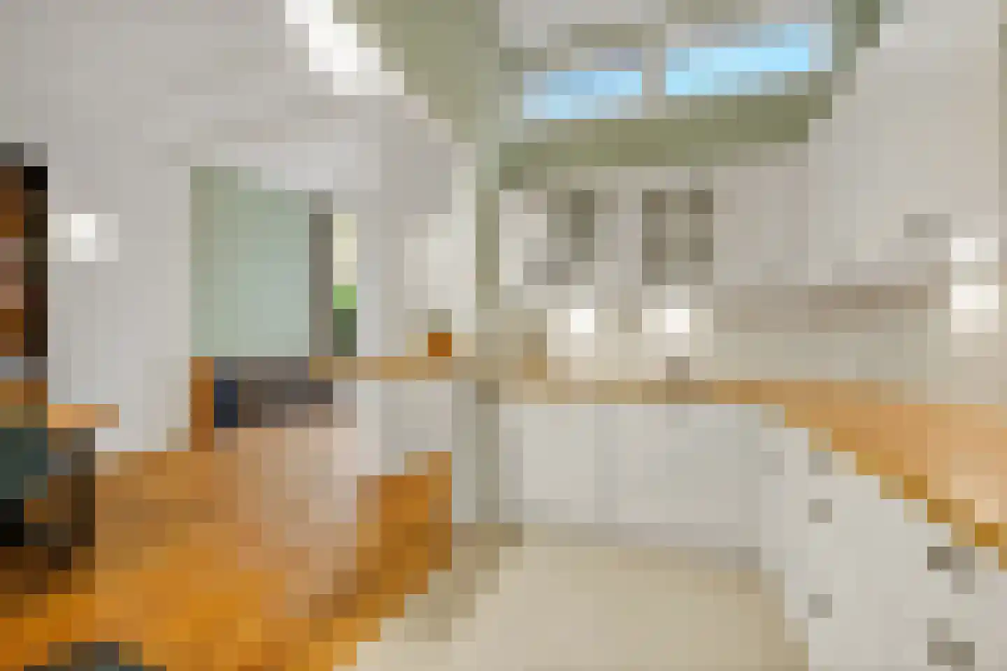 Rijklof van Goensstraat 43 Den Haag thumbnail 29