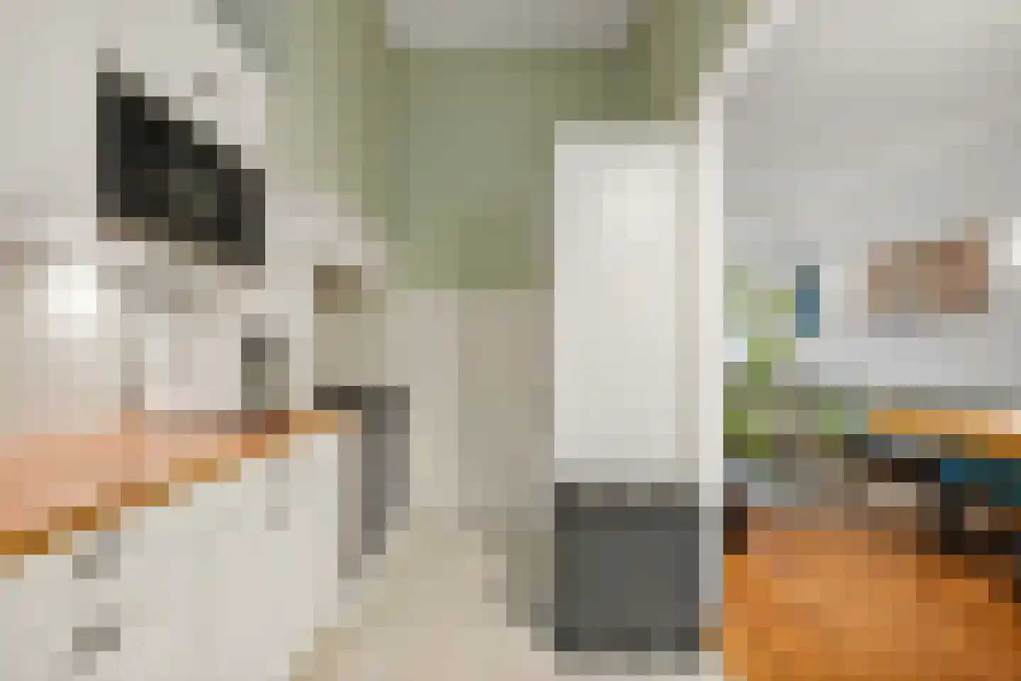 Rijklof van Goensstraat 43 Den Haag thumbnail 30