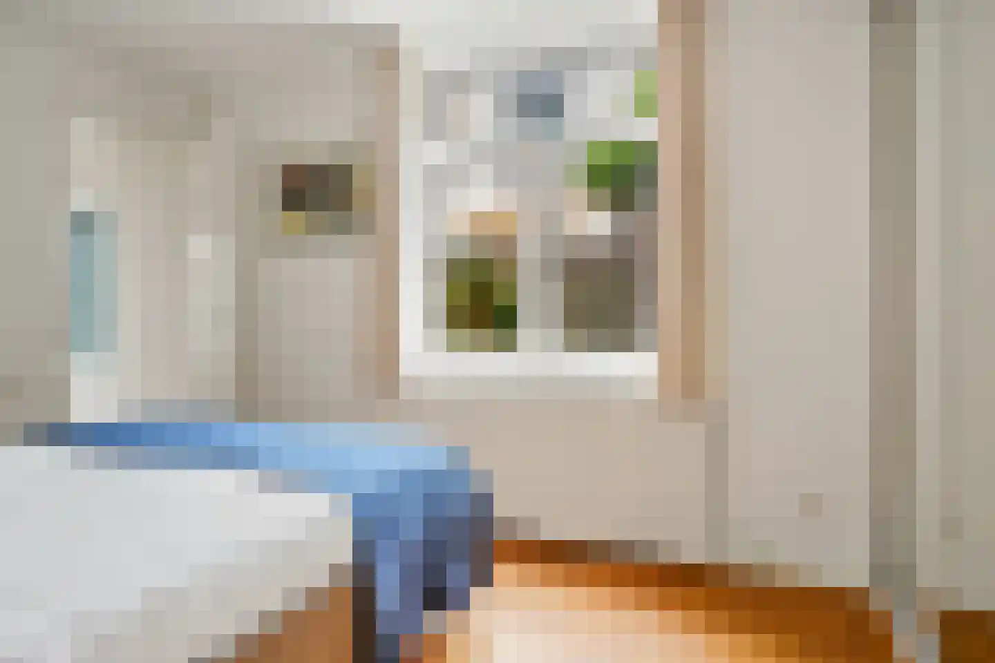 Rijklof van Goensstraat 43 Den Haag thumbnail 36