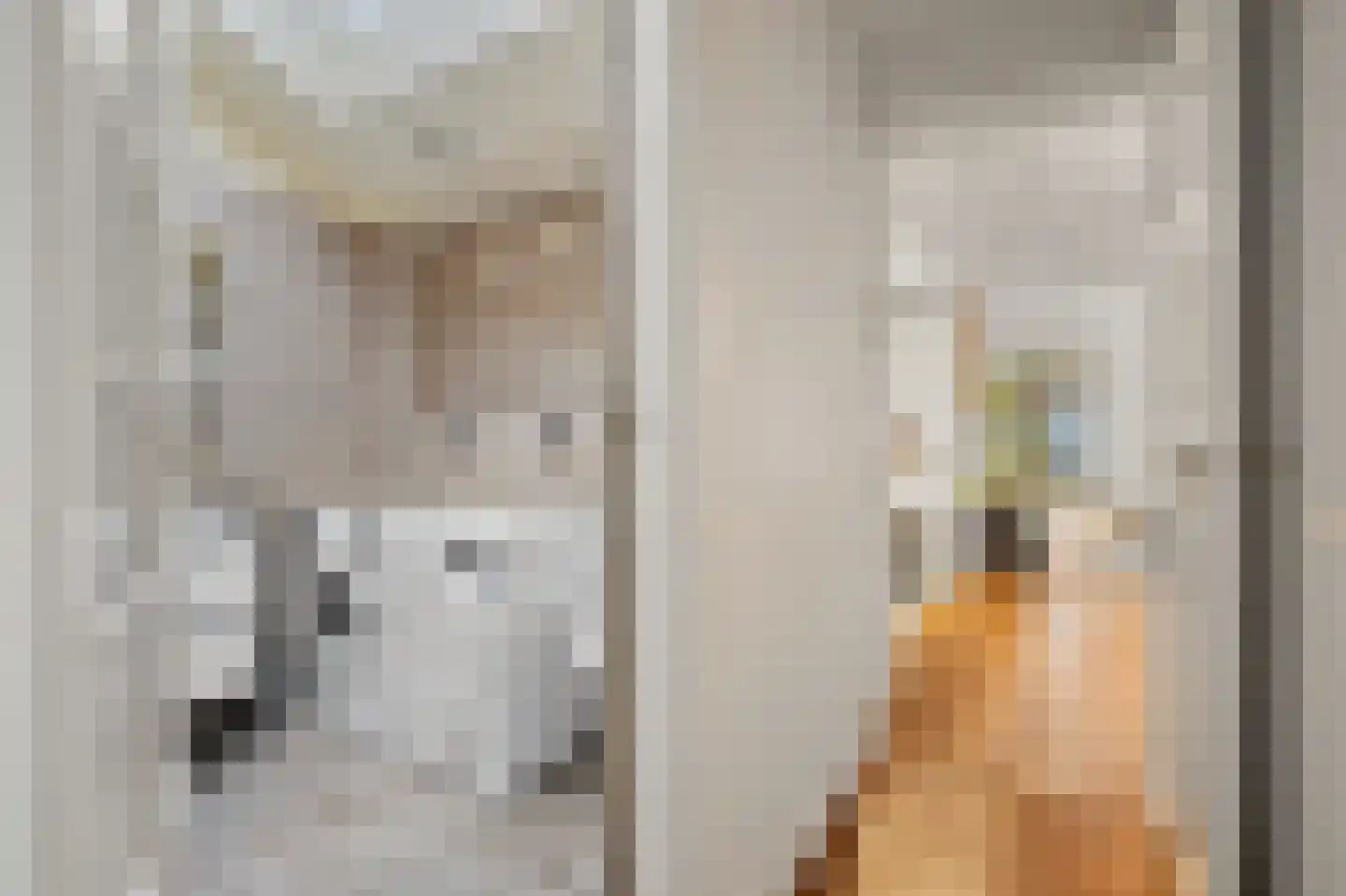 Rijklof van Goensstraat 43 Den Haag thumbnail 38
