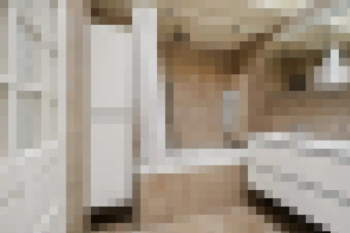 Rijklof van Goensstraat 43 Den Haag thumbnail 41
