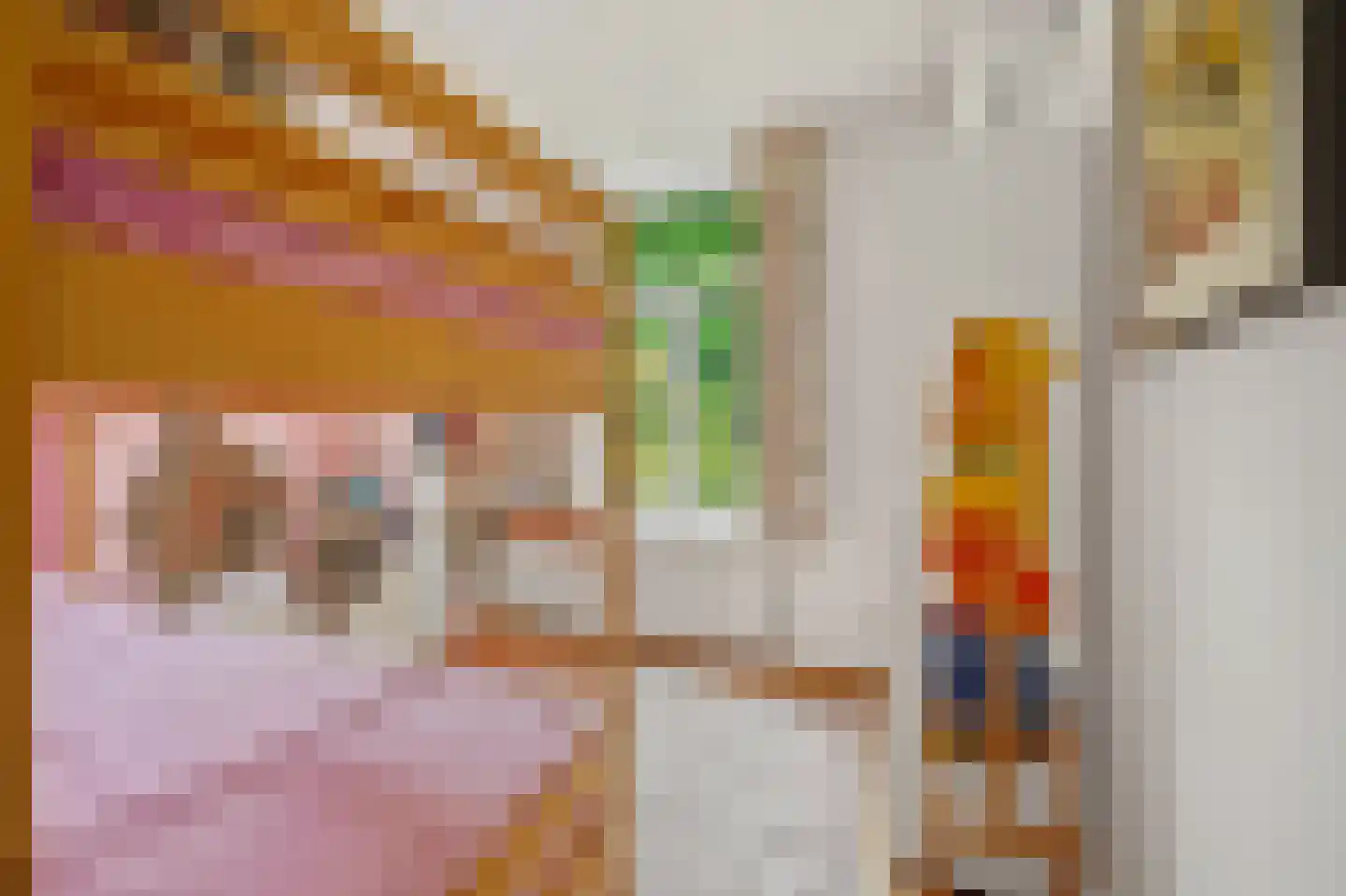 Rijklof van Goensstraat 43 Den Haag thumbnail 47