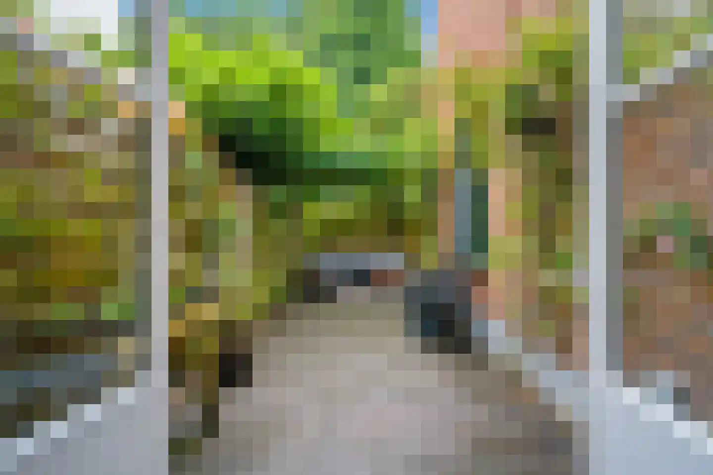 Rijklof van Goensstraat 43 Den Haag thumbnail 5