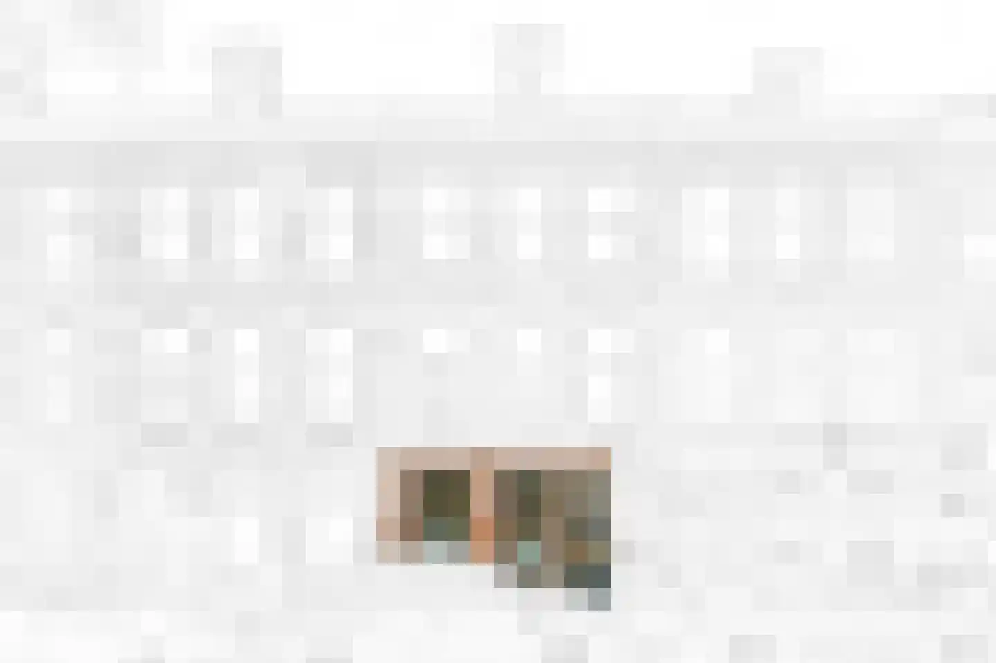 Rijklof van Goensstraat 43 Den Haag thumbnail 8