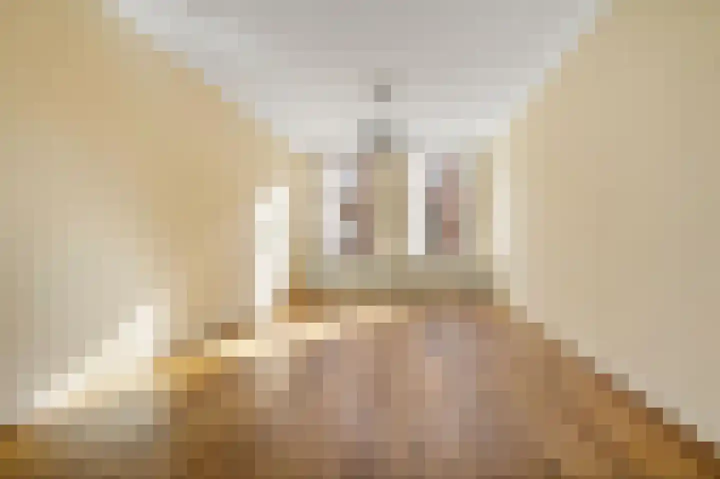 Rijklof van Goensstraat 44 Den Haag thumbnail 12
