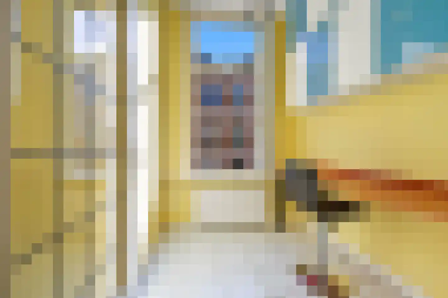 Rijklof van Goensstraat 44 Den Haag thumbnail 20