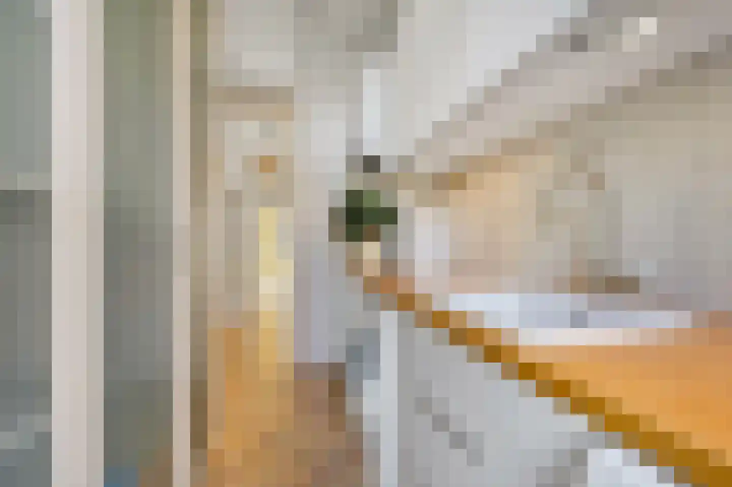 Rijklof van Goensstraat 44 Den Haag thumbnail 23