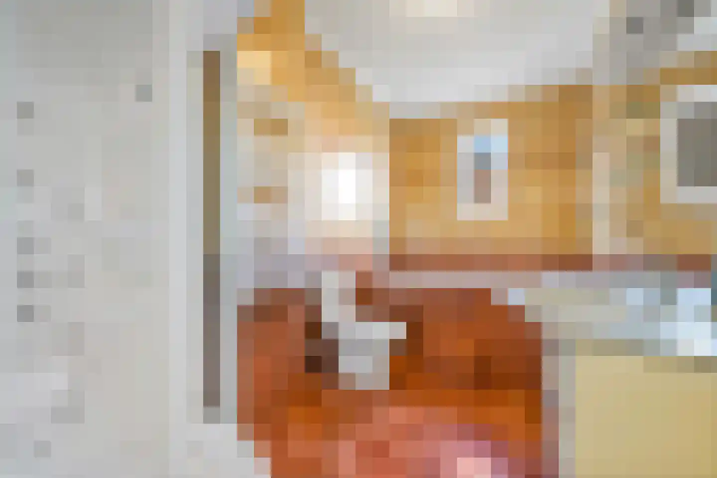 Rijklof van Goensstraat 44 Den Haag thumbnail 26