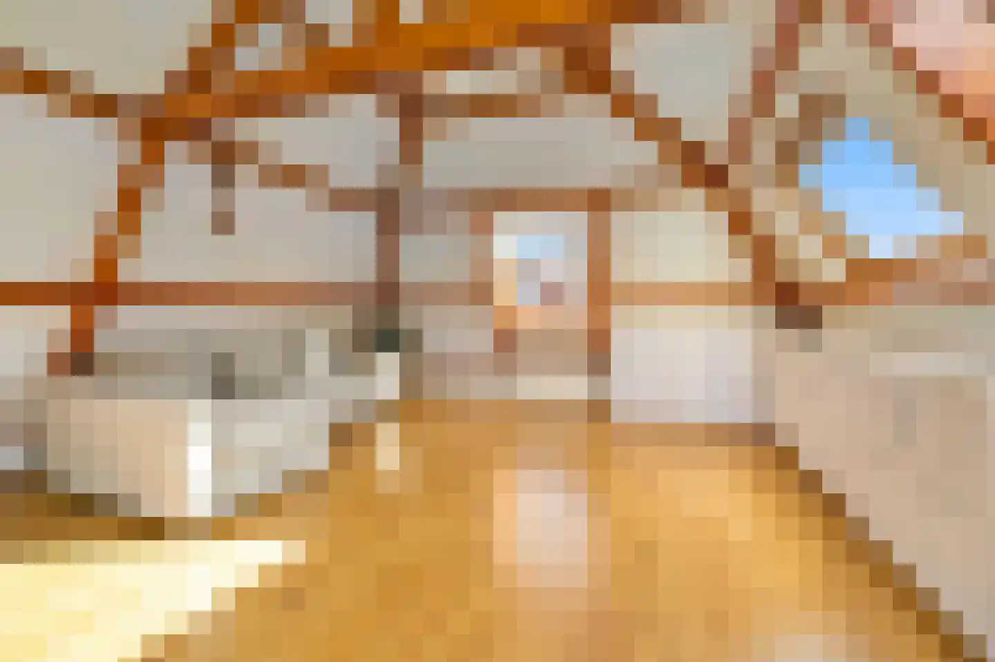 Rijklof van Goensstraat 44 Den Haag thumbnail 38