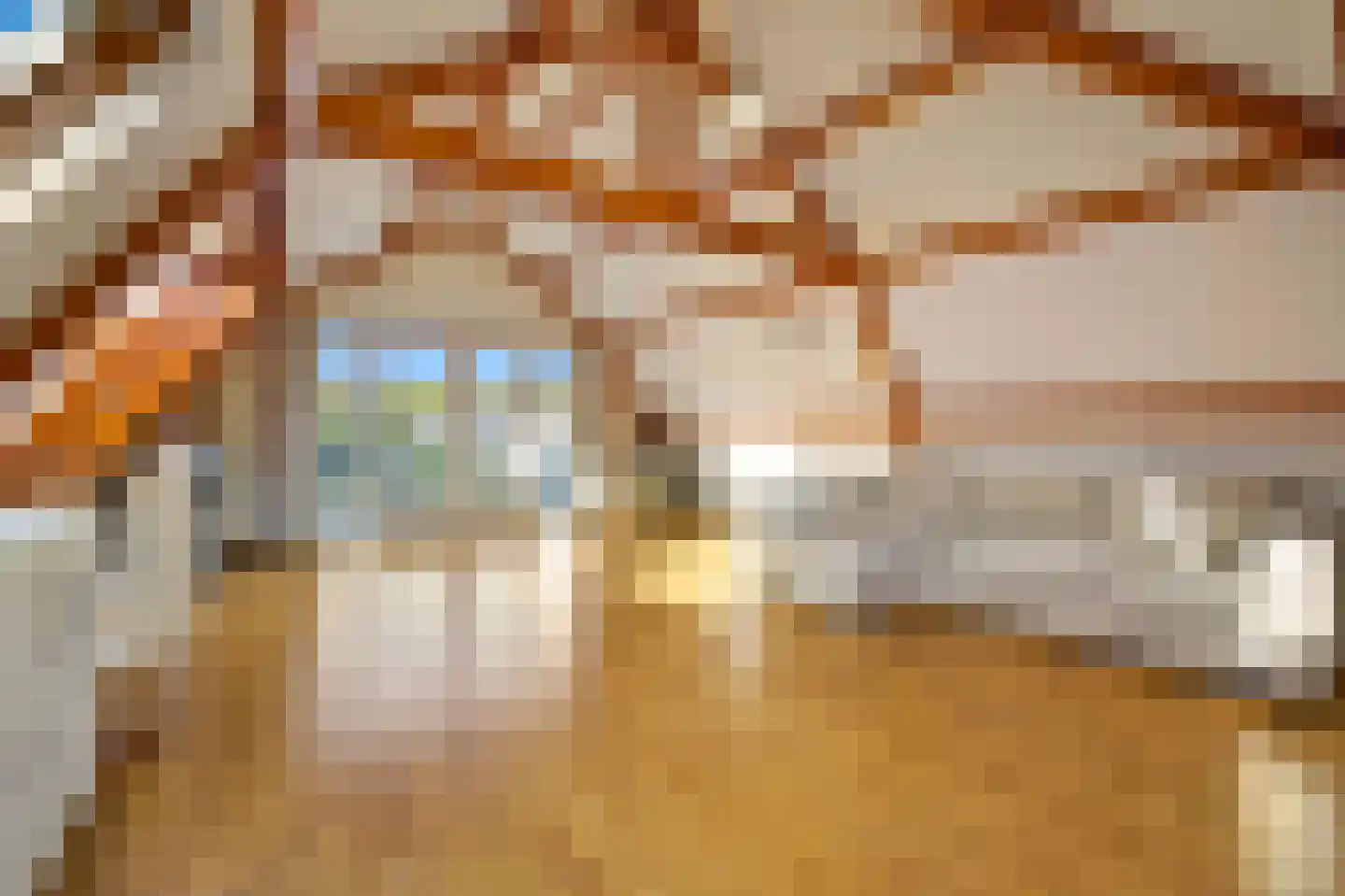 Rijklof van Goensstraat 44 Den Haag thumbnail 39