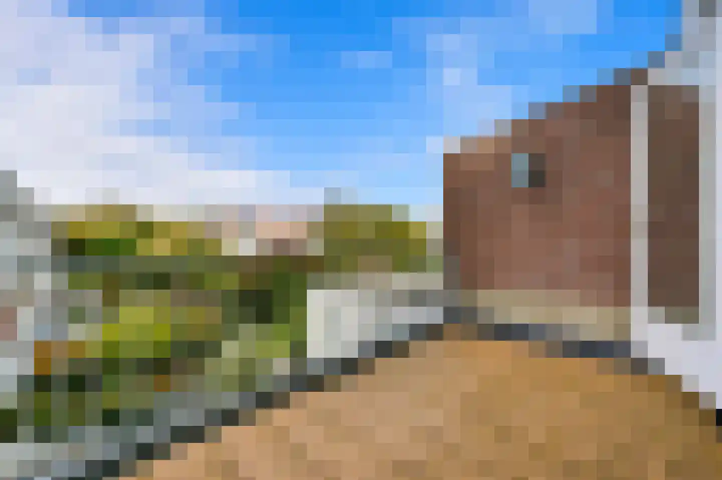 Rijklof van Goensstraat 44 Den Haag thumbnail 4