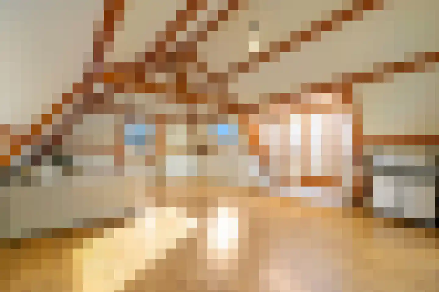 Rijklof van Goensstraat 44 Den Haag thumbnail 41