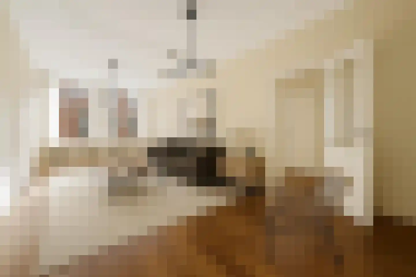 Rijklof van Goensstraat 44 Den Haag thumbnail 8