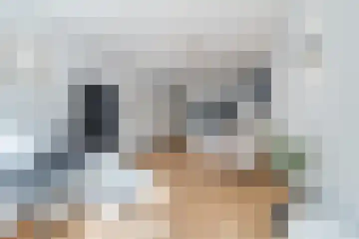 Rijklof van Goensstraat 46 Den Haag thumbnail 10